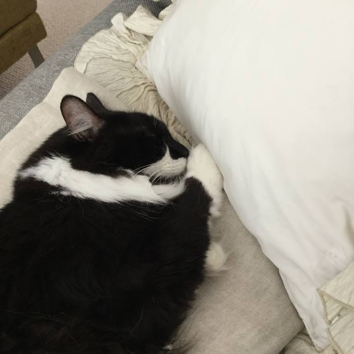 7cc28ff7 f173 445b 867c a03c842d16ea