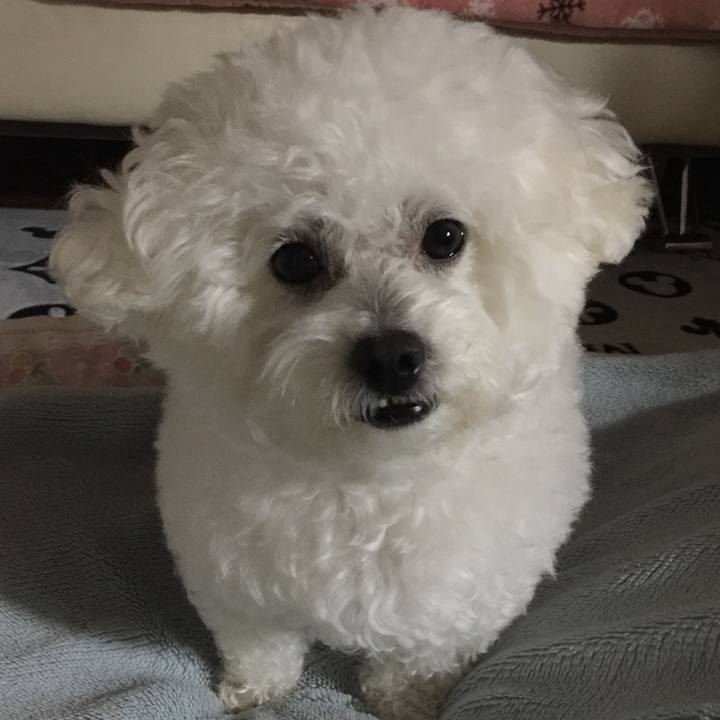 7cc2b5b8 4f05 4362 bc1f 3604a486d77f