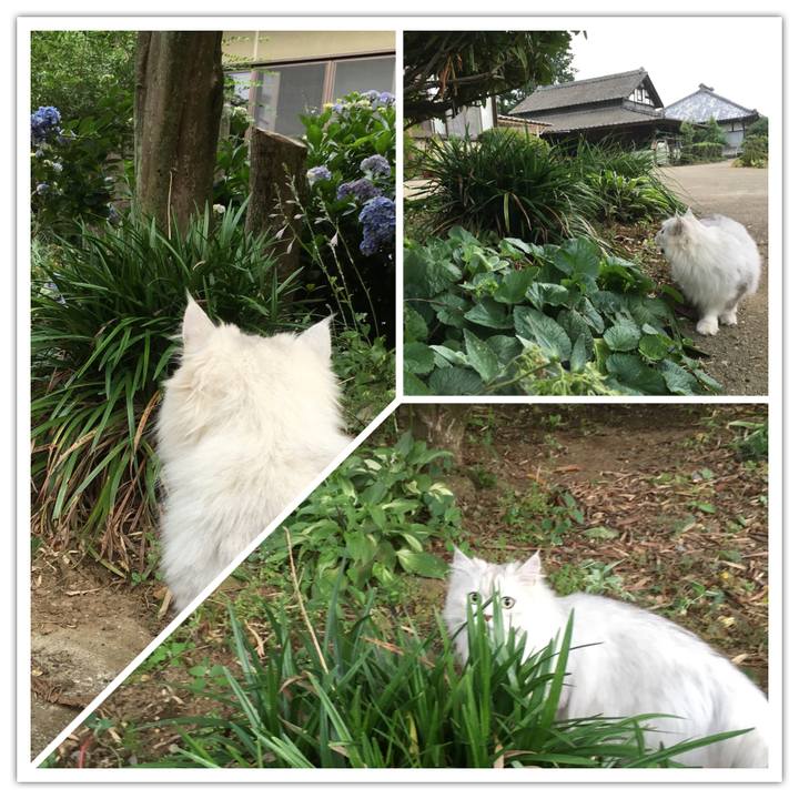 7cc2c4bc 04a8 4626 a3ad bcdd387d15c2