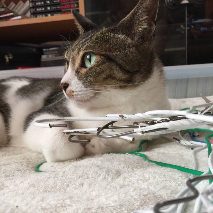 7cc2ff3b 30fa 4496 aae9 808aebe0045b