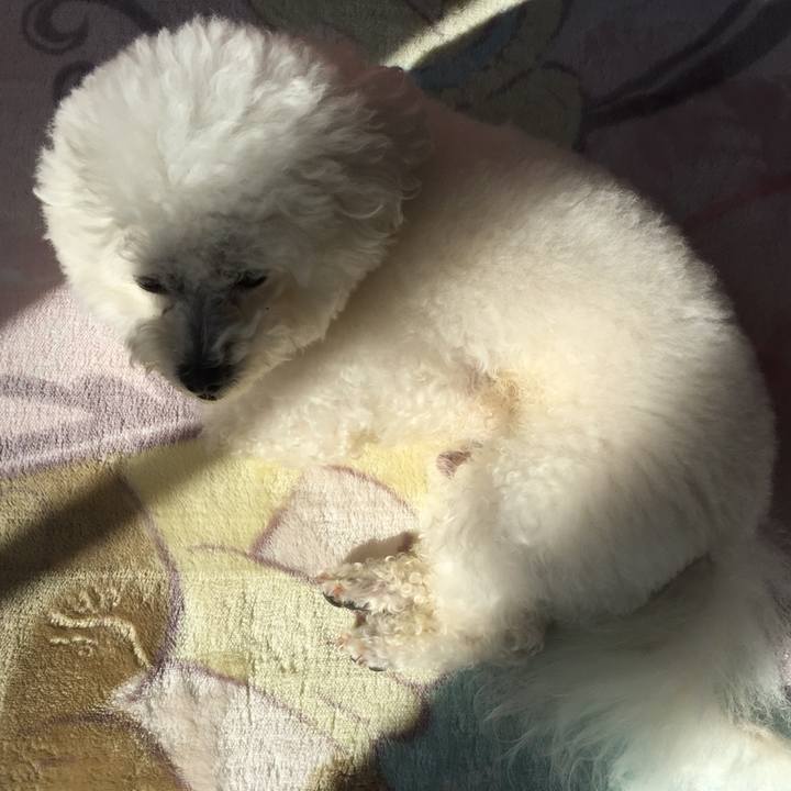 7cc37778 14c0 4e5d 9160 88b3ae9327b4