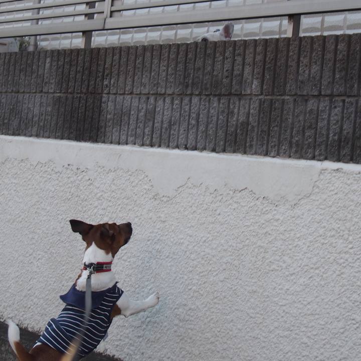 7cc4042a 6ed9 41a3 a0a0 3ea4fcecb926