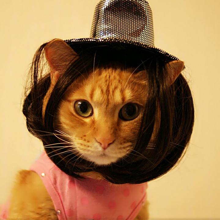 7cc5caef 28f4 4479 8376 c967ed6327bd