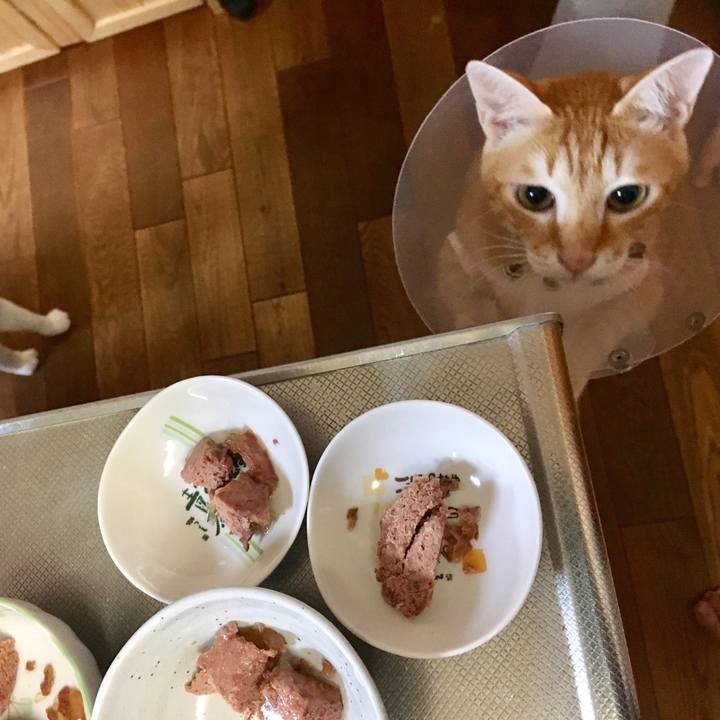 7cc5d601 6494 411c 9571 fc45417373df