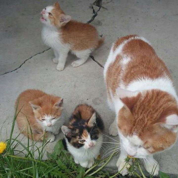 7cc5e473 3ee1 481a bc15 c50b90254056