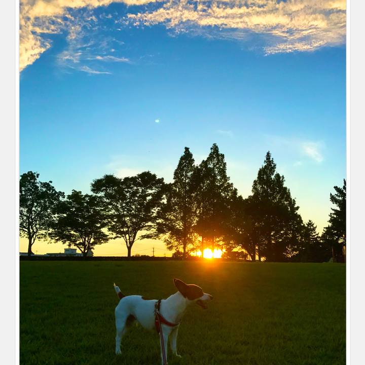 7cc5ed50 1e1b 446d 931c e2b02f385025