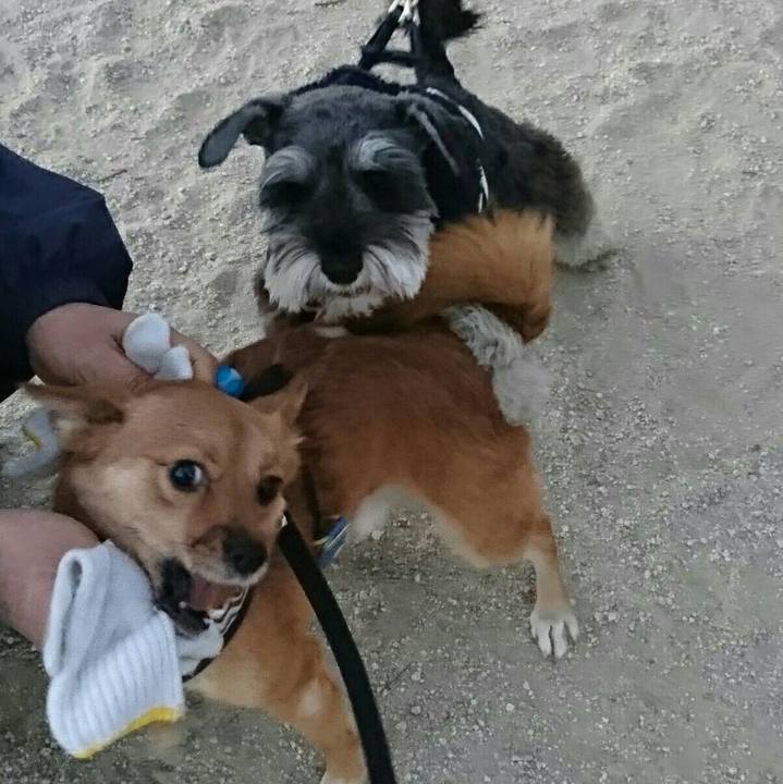 7cc5fbb9 ff9f 4174 84b5 d41576122d1f