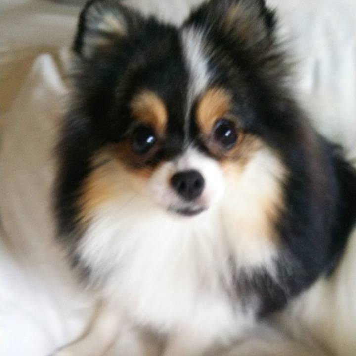 7cc6dbc6 51bf 44dd b208 9bcbc8f803e3