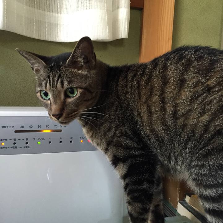 7cc701fb fe33 41de b403 f6f9f9add787