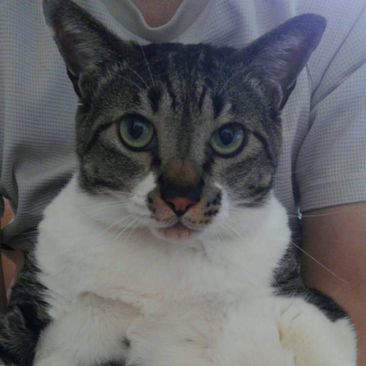 7cc71de3 a230 48c5 aaf0 410f80964bd1