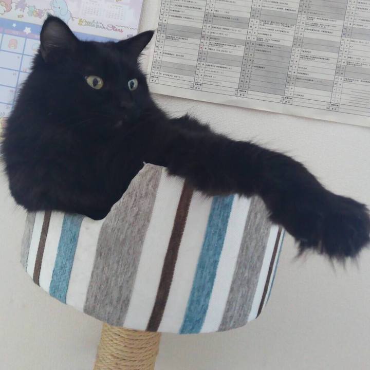 7cc762b8 9fa5 41ab a324 92de66c3b2b1