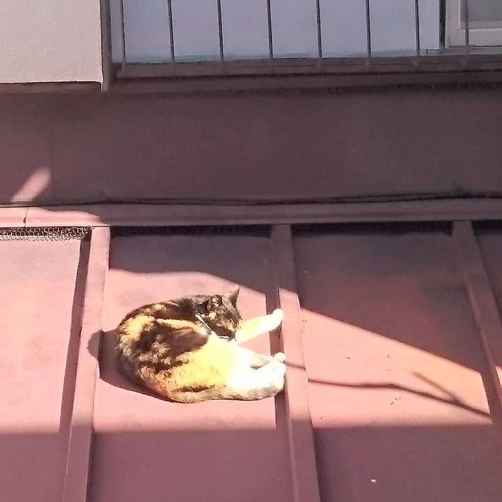 7cc7657c e81c 49ef bf0f bbbc69e751c7