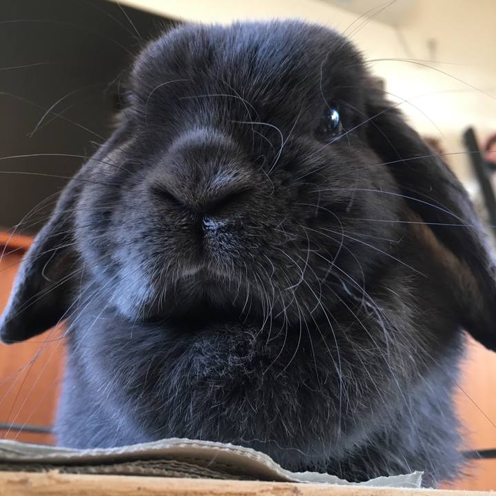 7cc797eb f058 40c5 8e4c 449712b9735c