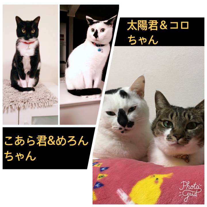 7cc86881 f981 4fc8 a63a fe9f1ad94d65