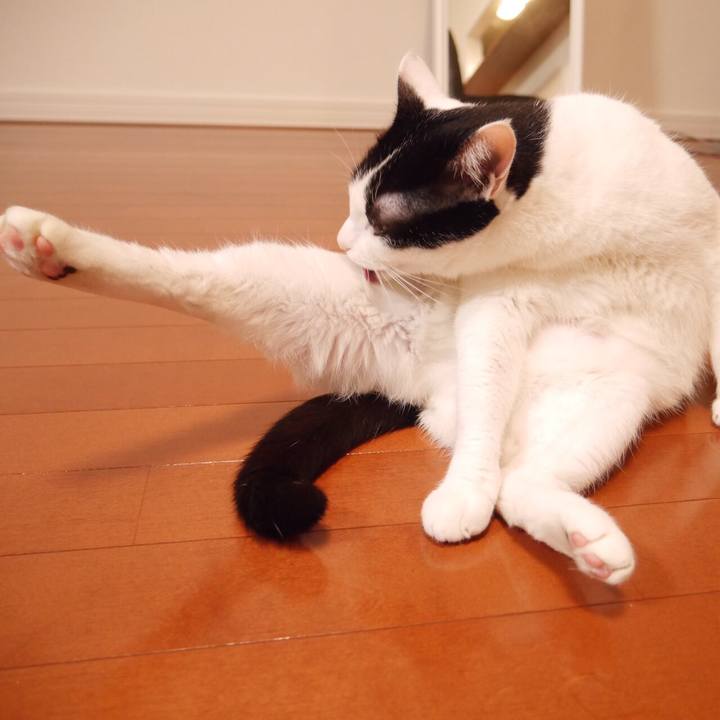 7cc8c67e 7de8 4ce4 ad90 1ac8cb108b54