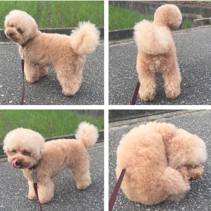 7cc94d98 d39a 44bc b5e6 47b0d6b99d9b