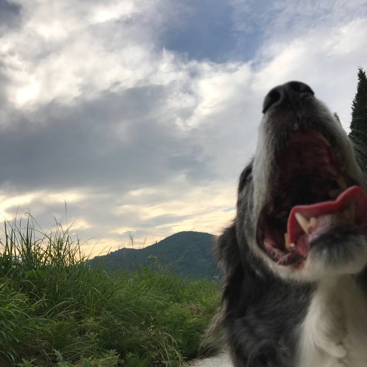 7cc95643 d3a1 4bb4 96fc 88e289760cdb