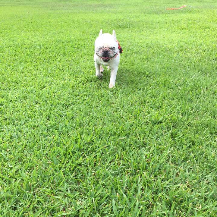 7cc9a33a d8c7 4421 abdd 577b524b7b28