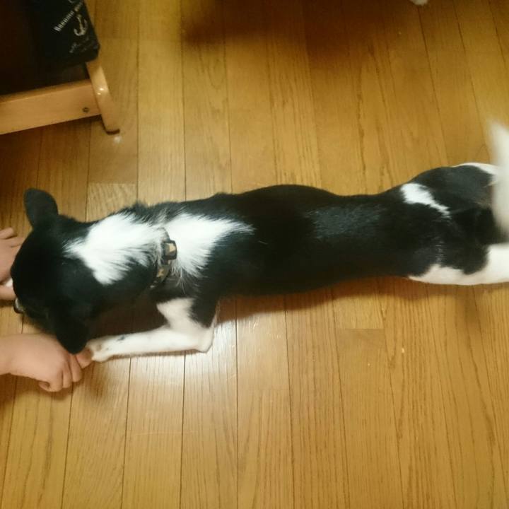 7cc9af8e 2f8f 4133 99f5 f4203c0878b3