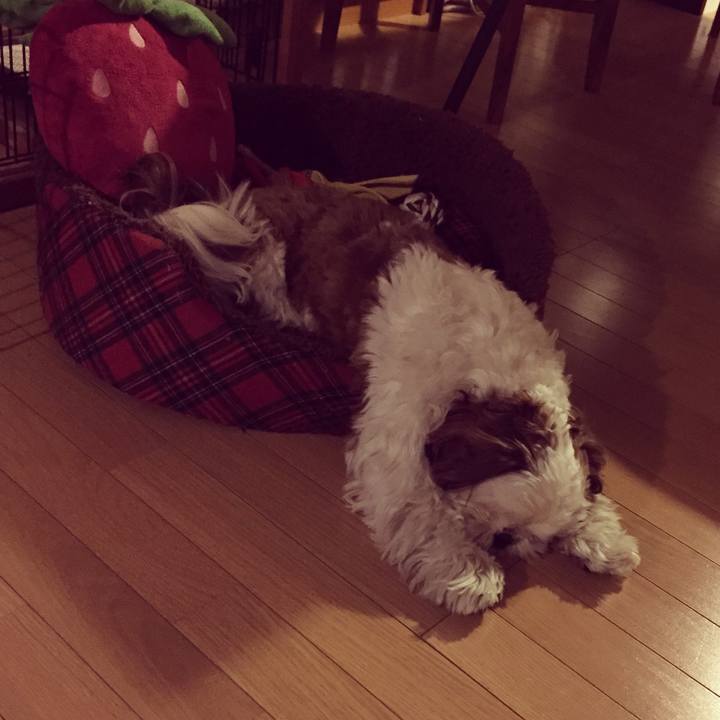 7cc9fde8 b571 4971 bb8d 513a2cf2479d