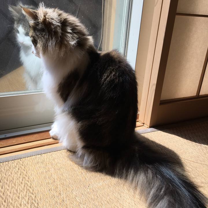 7cca067d e583 447a ad5b 1b39e9b80ea6