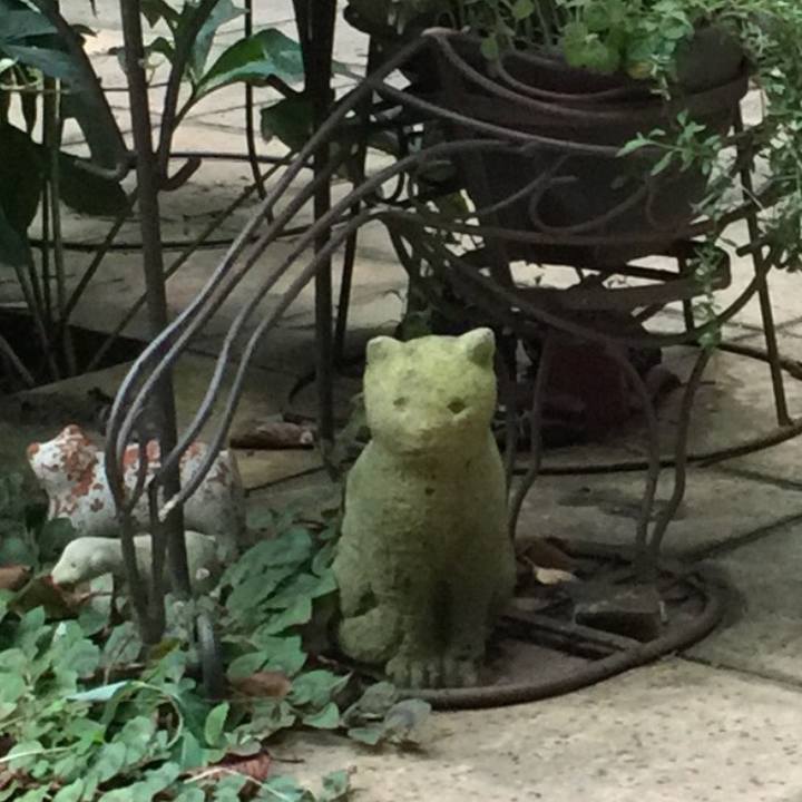 7cca0a60 2dbd 4b4c 9686 f017b5880ce4