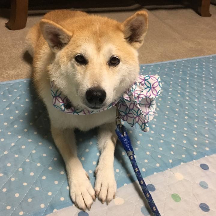 7ccb3ff7 4cb1 478c a7c8 1dfcd3857037