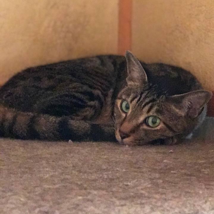 7ccb46b6 c641 4e72 929e ef1bf278090c