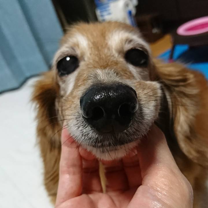 7ccb7483 bf87 4589 ba45 95177c8a08ec