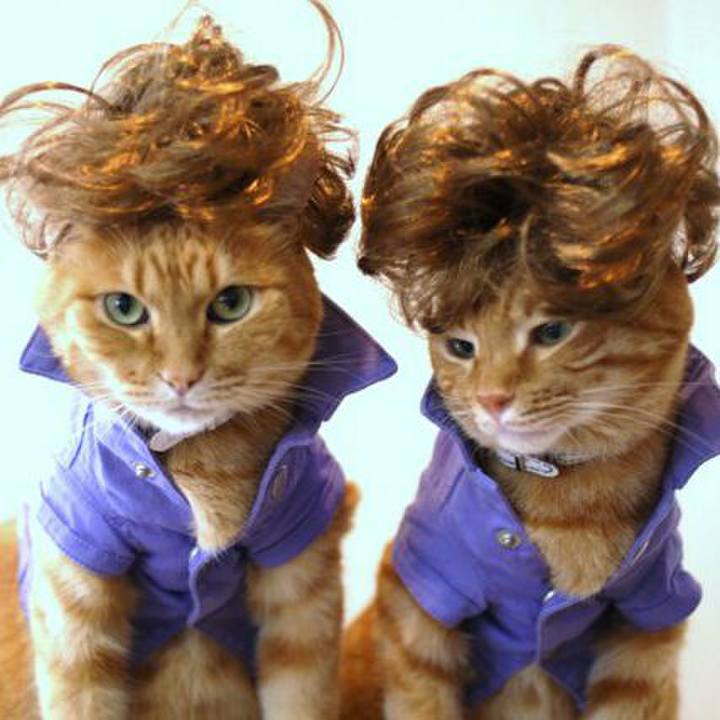 7ccba995 2e8f 4c8a ae35 2f2a21eefd37