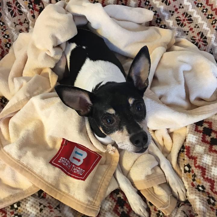 7ccc6319 4782 41ff 8689 daae856ebb4a