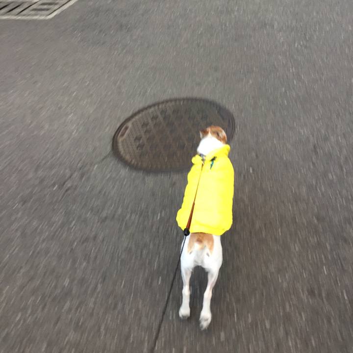 7ccd2928 f988 4a35 873b 9912bcd364b6