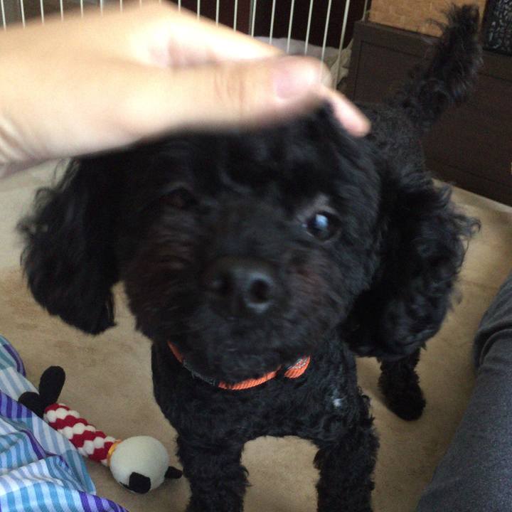 7ccd614a 0098 464c bb52 e15f0310e83a