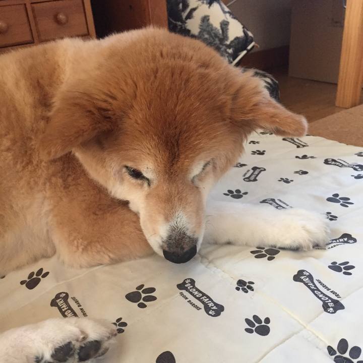 7ccd86f7 ff69 4258 9525 de87f1dea542