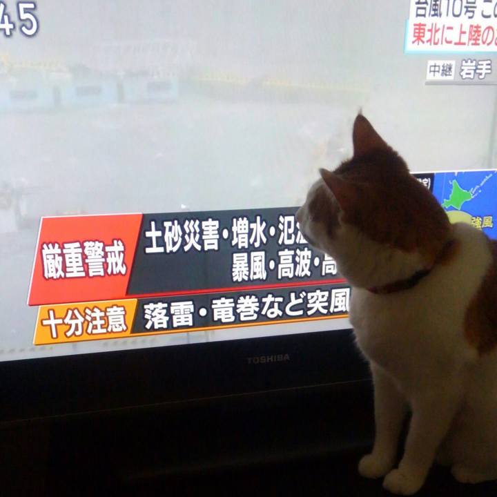 7ccdbd62 d55a 4b61 930b 9bee86a9c44e