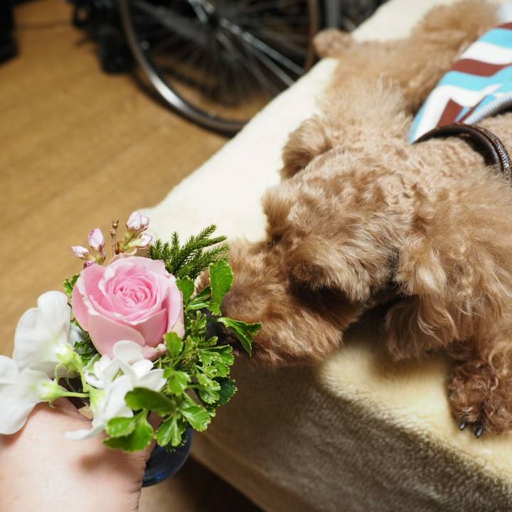 7ccde79f 35a5 410f 9b54 e774d128562a