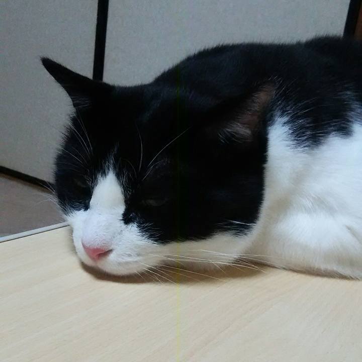 7cce6a09 7f0a 420e 87ba d47e9237189e