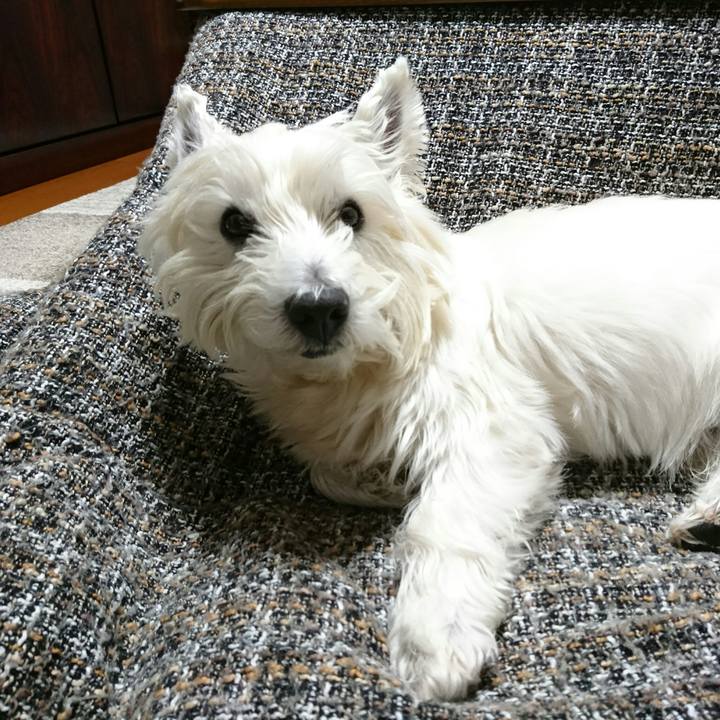 7cce7431 d519 49df ac16 20661d448fd9