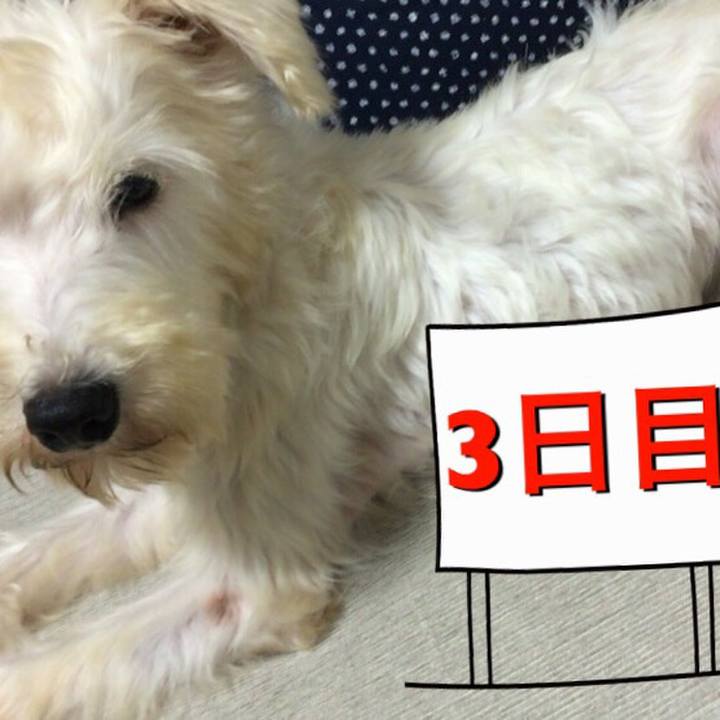 7cd077fe 025a 4755 a386 692dcb8ef59f