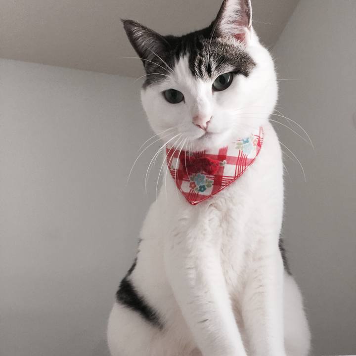 7cd080f3 2b68 47ec 903a c3482da57473