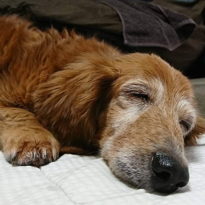 7cd0fb6c 6060 4d48 add0 16d2fe8b6687