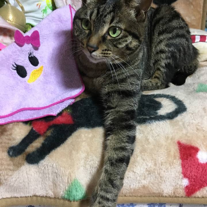 7cd1458b 0ad8 47c8 b21e c074fb3af164