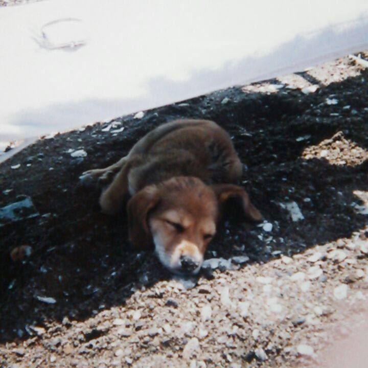 7cd15e84 2ee1 425d b7df d8f177ea7f44