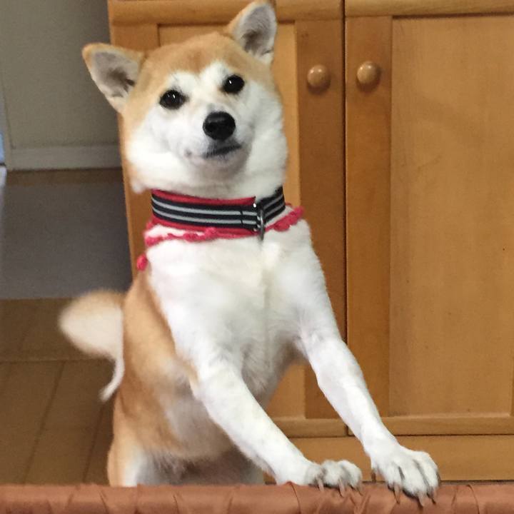 7cd19f58 4c0d 470c ba70 3fe10b40c65c