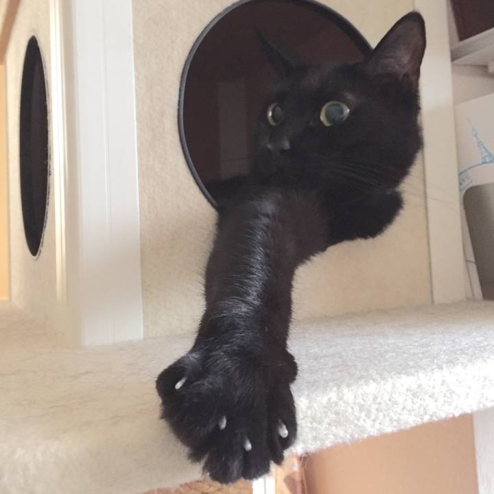 7cd1dd27 645b 4226 868e b9e8ff6ab3af