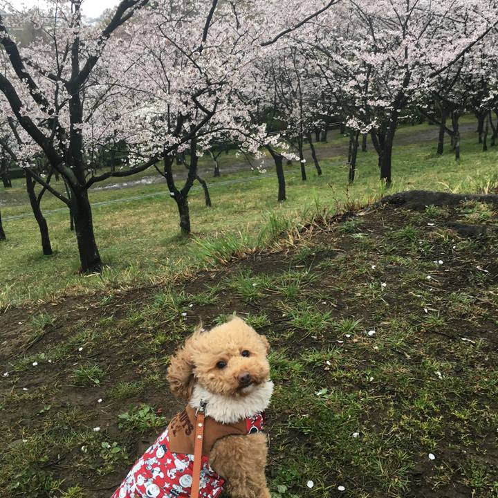 7cd23c04 79c3 4122 ae62 f799d3b821a7