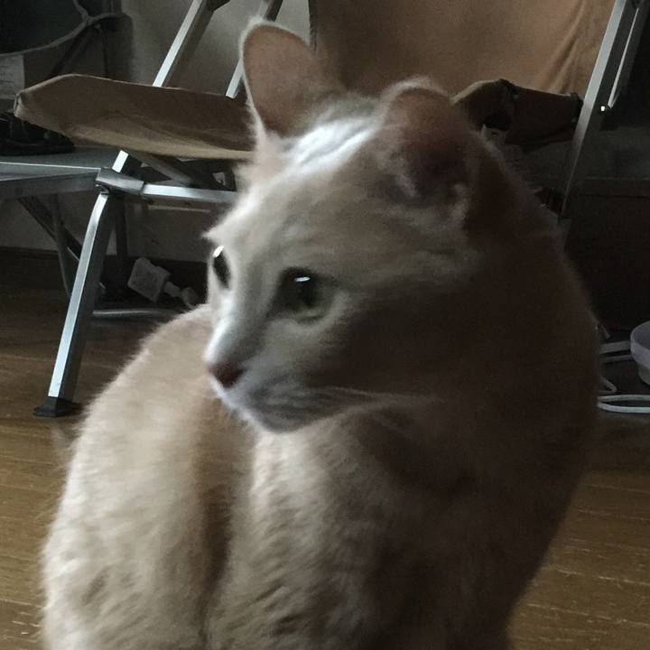 7cd332e1 0810 4ba9 89cf 7bfdef5f26a1