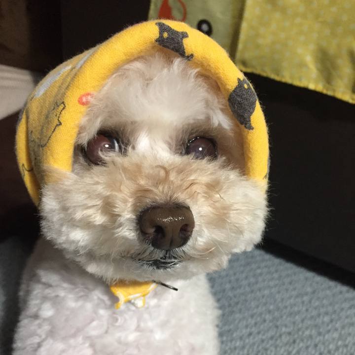 7cd34252 ed17 4b08 9585 f081707f2fcd