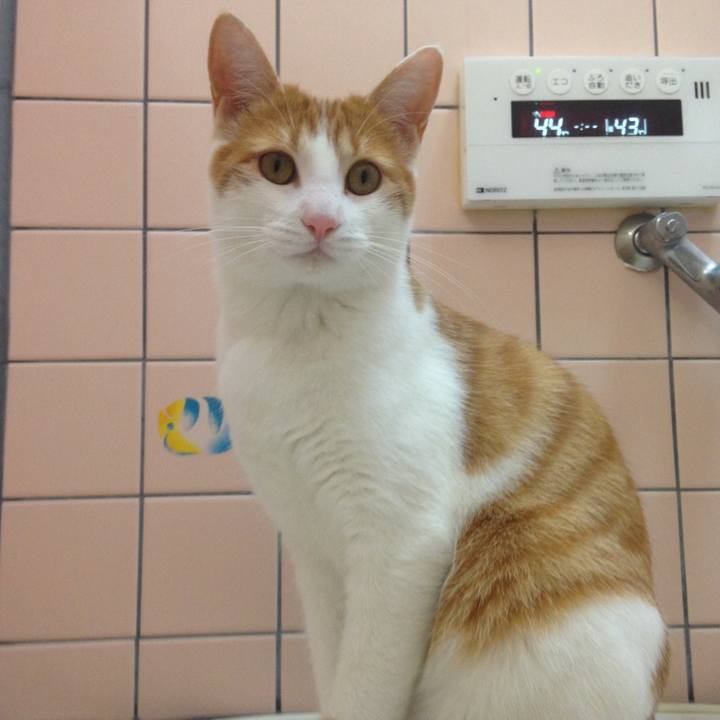 7cd369b3 129e 4e51 9873 e90eb6b4251b