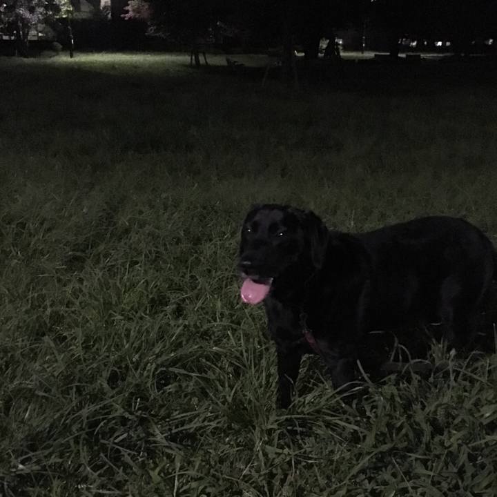 7cd41412 b9c3 4e55 982d bf7be00191bf